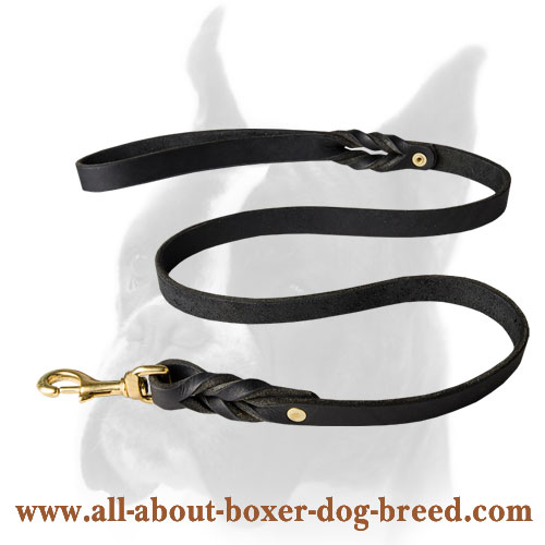 Multitask Braided Leather Leash for Boxer