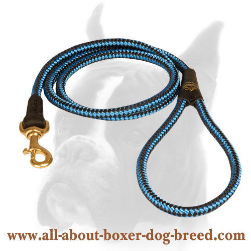 Cord nylon dog leash for Boxer