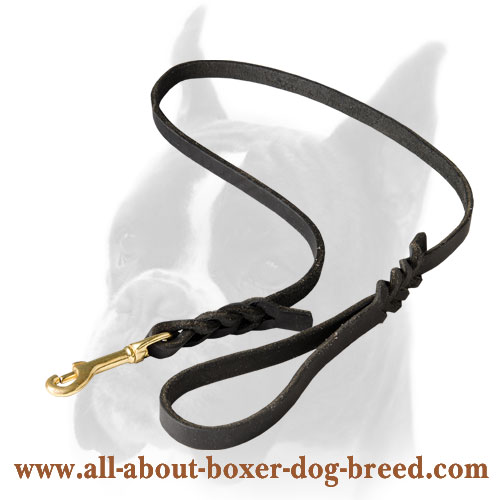 Leather Boxer Leash for Walking and Tracking
