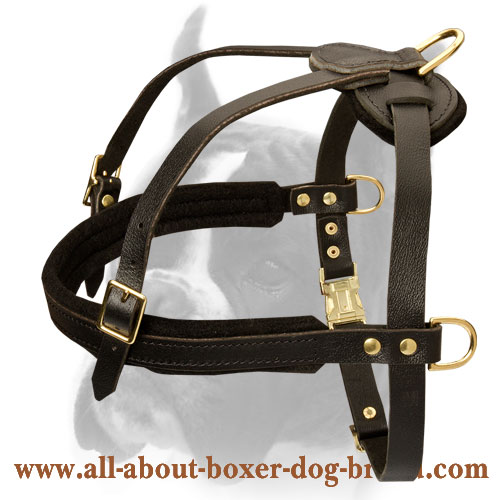 Wonderful Boxer Harness for Pulling/Tracking/Walking and other activities