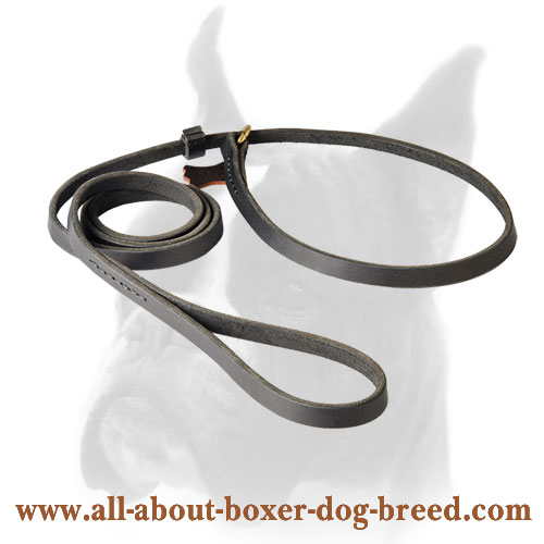 Braided Leather Dog Leash 4 foot-Braided Lead Boxer