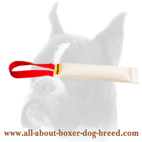 Fire Hose Dog Bite Tug With a handle for Boxer