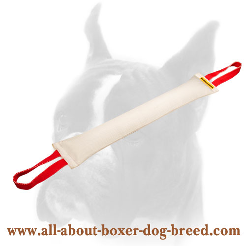 Huge Fire Hose Dog Bite Tug with 2 Handles for Boxer
