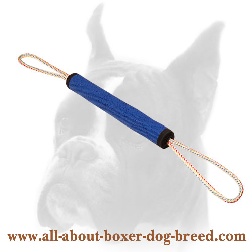 Dog Play Roll Made of French Linen for Boxer