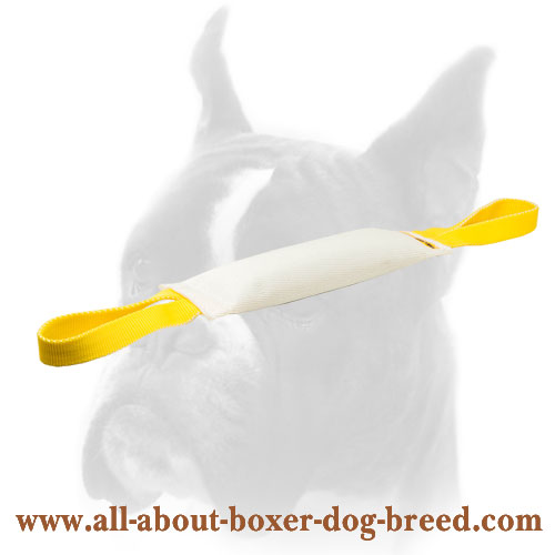 Fire Hose Dog Bite Tug With Handles for Boxer