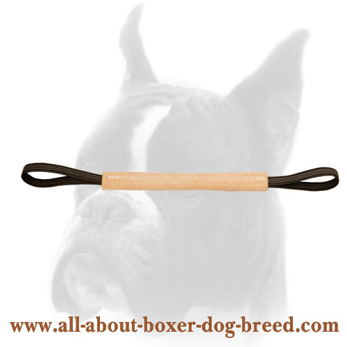 Leather Obedience Dog Tug for Boxer
