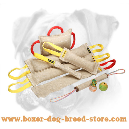 Fantastic Dog Training Set