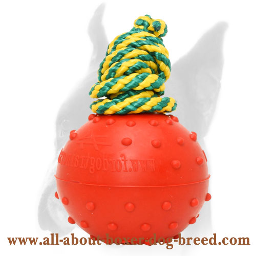 Water Rubber Dog Ball for Boxer - Medium 2 1/3 inch (6 cm)