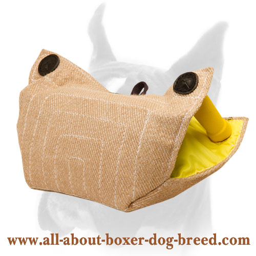 Puppy Bite Builder Young Dog Protection Sleeve for Boxer