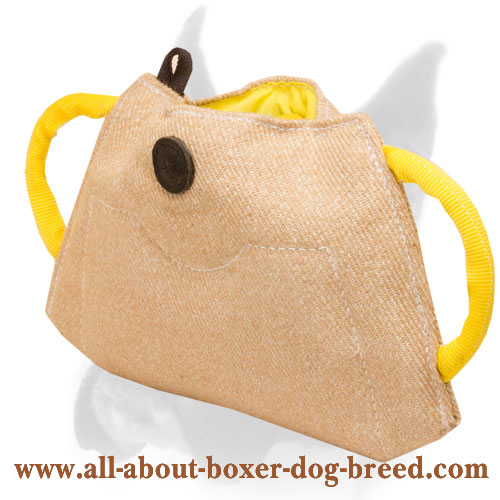 Jute Bite Builder for Young Boxer Training