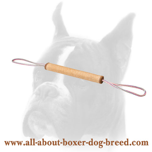 Dog Training Play Roll Made of Jute for Boxer