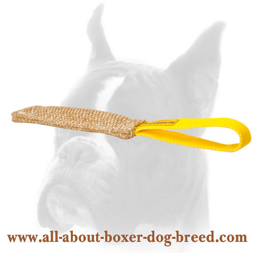 Pocket Bite Tug Made of Jute for Boxer Puppy