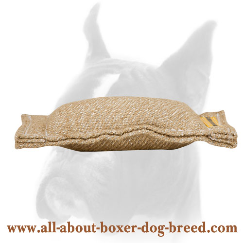 Compact Jute Bite Tug Without Loop for Boxer Puppy Training