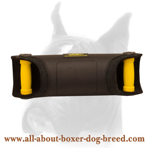 Grip and angle perfection workout bite developer for Boxer