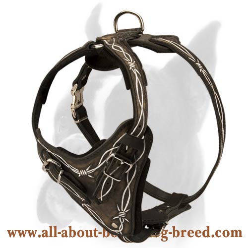 Barbed Wire Hand Painted Dog Harness for Boxer - Click Image to Close