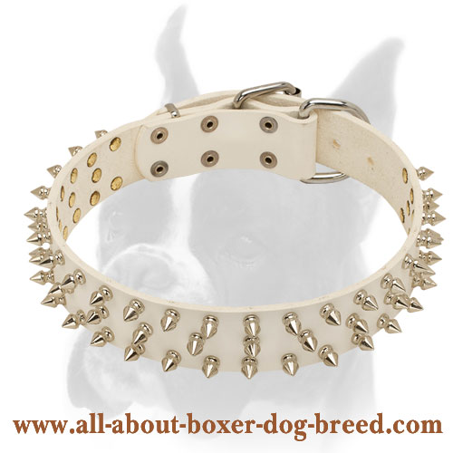 Unique white leather spiked collar for Boxer [S44W1035 White Leather