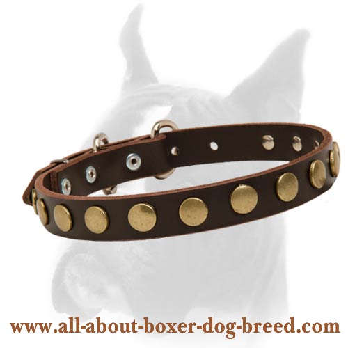 Attractive and elegant leather Boxer collar with brass circles - Click Image to Close