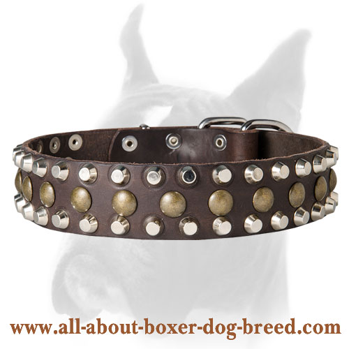 Fascinating Boxer Collar with Pyramids and Studs