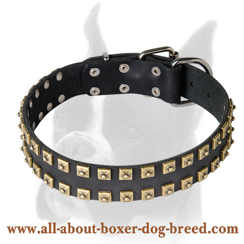 Unique leather studded collar for Boxer