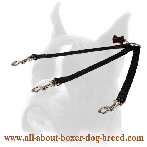 Nylon Boxer Coupler Leash for walking three dogs in any weather