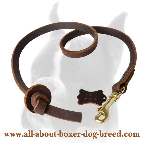 Leather Obedience Dog Leash with Pull Tab 2 foot for Boxer