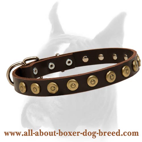 Ornate Boxer Dog Collar with Brass Hardware