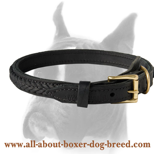 Gorgeous Leather Dog Collar with Beautiful Decorative Braid