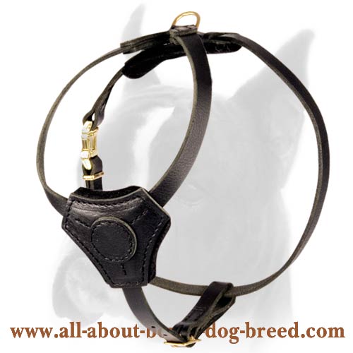 Special lightweight Leather Harness for Boxer Puppy