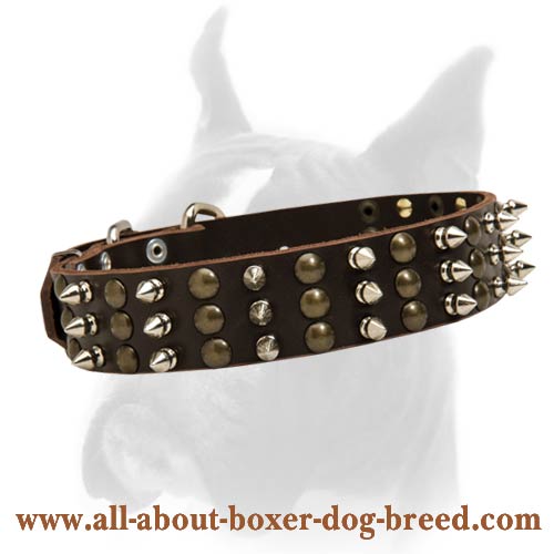 Studded Boxer dog Collar for excellent style