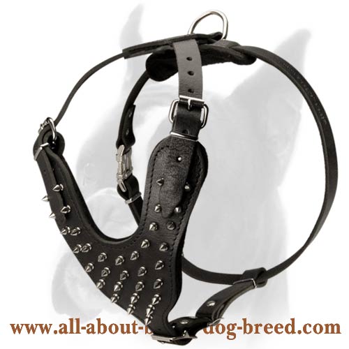 Deluxe leather Spiked Harness for Boxer Dog