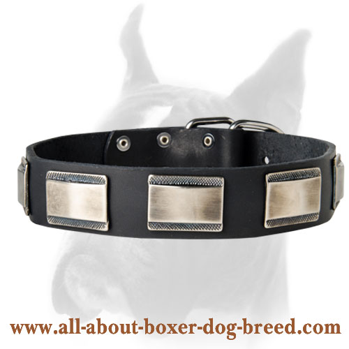 Handcrafted Leather Dog Collar with Massive Nickel Plates