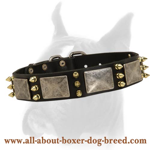 Boxer Leather Collar with Massive Plates + 3 Brass Spikes