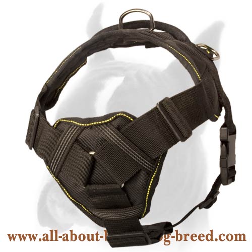 Heavy duty Nylon All-weather Harness for Boxer - Click Image to Close
