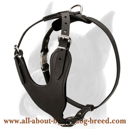 Heavy Duty Leather Dog Harness for Boxer