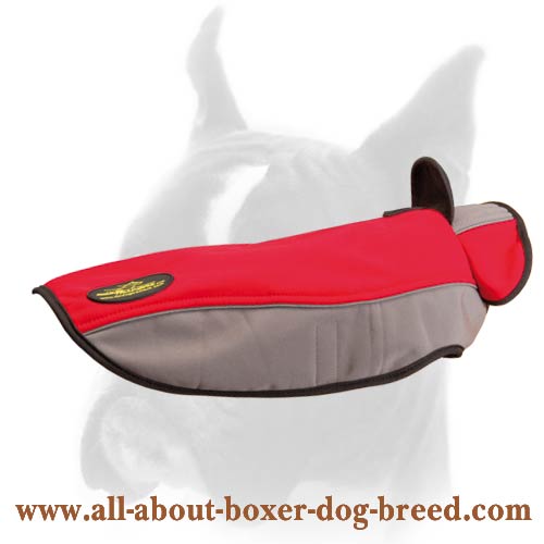 Boxer Winter Coat to Warm your favourite Pet