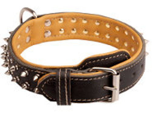 Fantastic Leather Collar Decorated with Spikes for Boxer