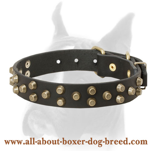 Comfortable leather Boxer collar with symmetrical brass pyramids