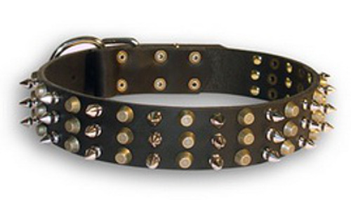 Extraordinary Leather Collar with Nickel Spikes and Brass Pyramids for Boxer