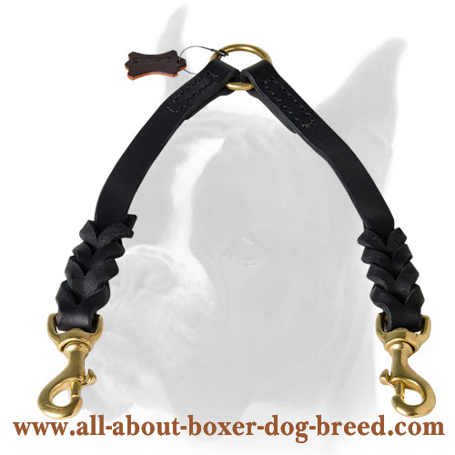 Posh leather Boxer coupler decorated with braids for walking 2 dogs