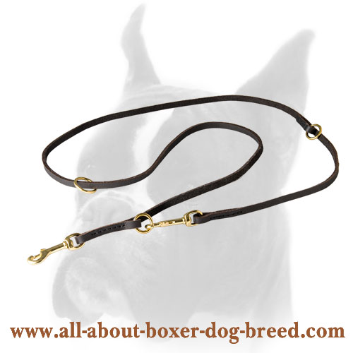 Multifunctional Boxer Leash for Training and Walking