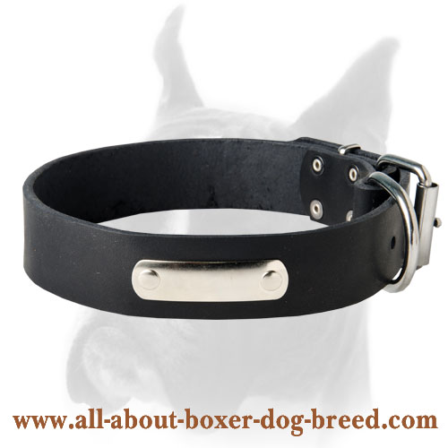 Leather Dog Collar with nickel ID-plate for Boxer