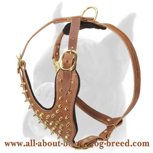 Fantastic Spiked leather Boxer Harness
