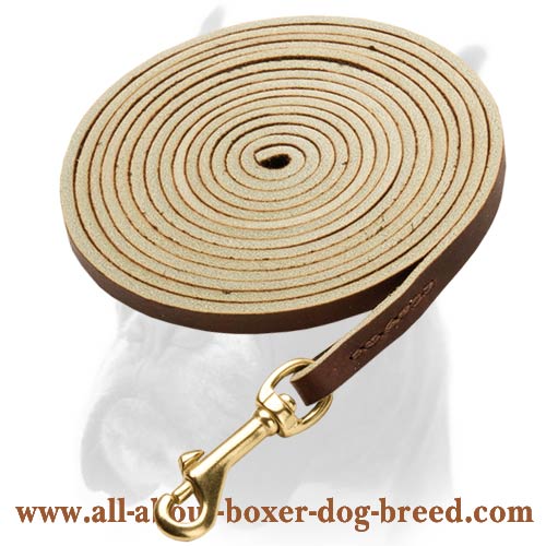 Soft Premium Leather Leash 10mm wide for Boxer