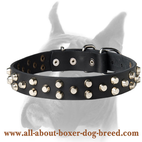 Exclusive Dog Collar made of Best Quality Leather and Nickel-plated Hardware