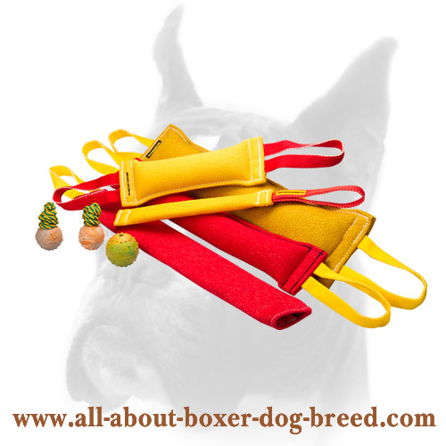 Order now ultimate dog training set and get 3 wonderful gifts - Click Image to Close