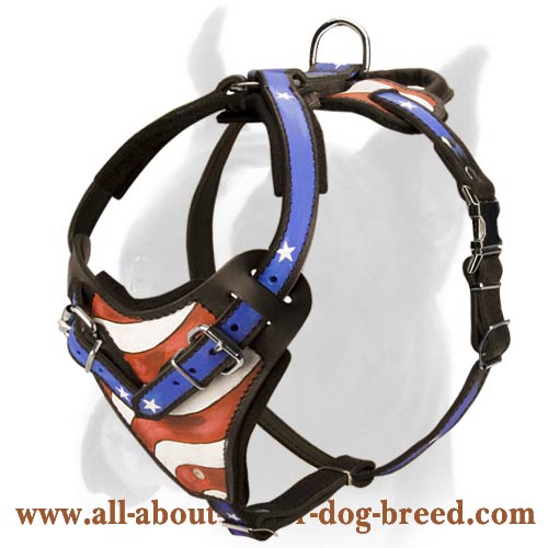 Hand Painted Leather Boxer Harness for Attack/Agitation Training