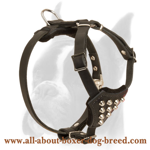 Exquisite Leather Harness for Active Boxer Puppies