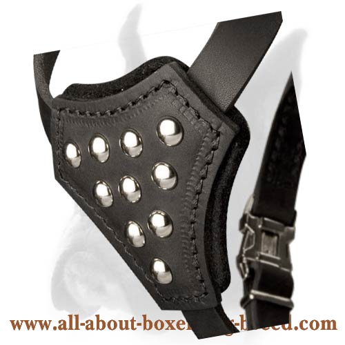 Soft Leather Dog Harness for Boxer Puppy