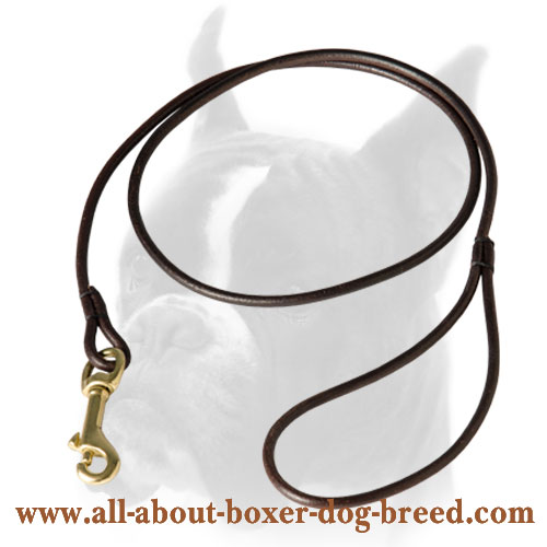 Fully Beneficial Show Leather Dog Leash for Boxer