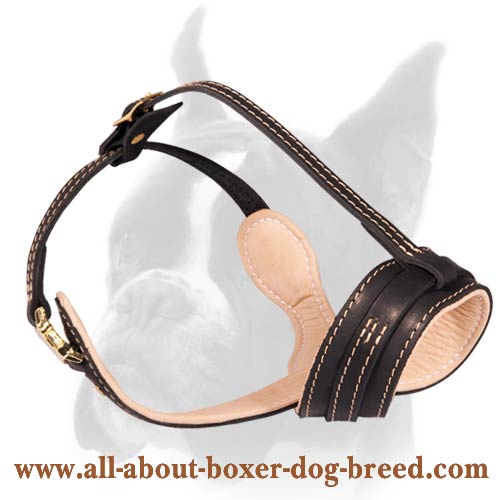 Excellent Air Flow Leather Boxer Muzzle for Daily Walks